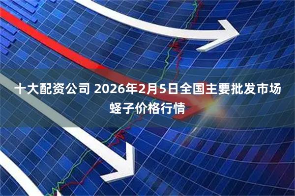 十大配资公司 2026年2月5日全国主要批发市场蛏子价格行情
